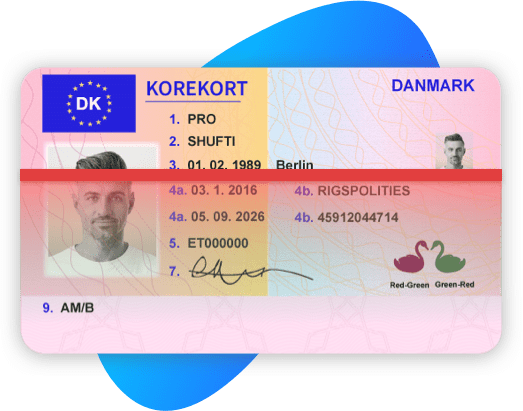 Denmark Driving License