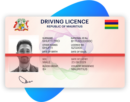 Pakistan Driving License