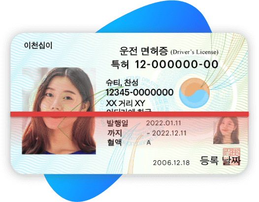 South Korea Driving License