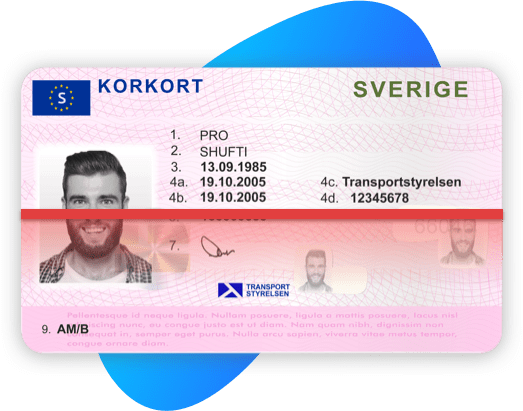 Sweden Driving License