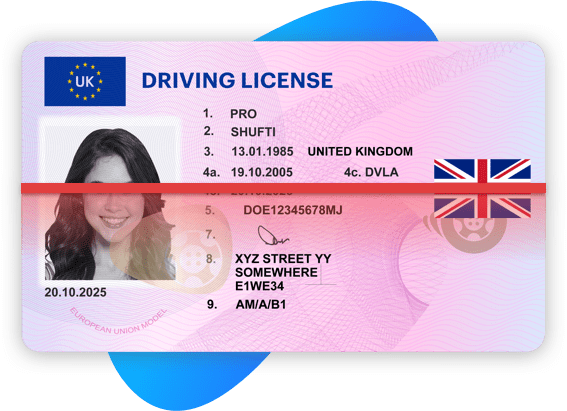 UK Driving license