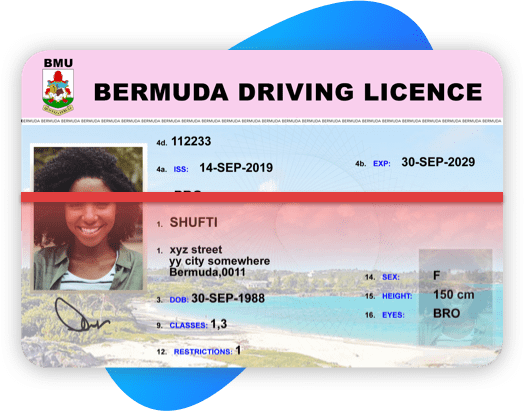 bermuda-driving-license